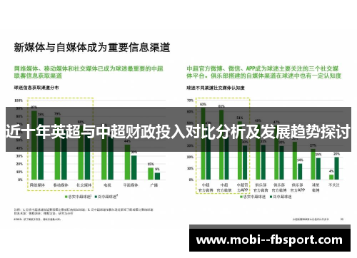 近十年英超与中超财政投入对比分析及发展趋势探讨