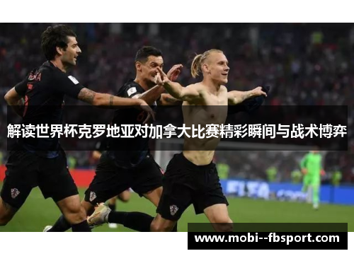 解读世界杯克罗地亚对加拿大比赛精彩瞬间与战术博弈