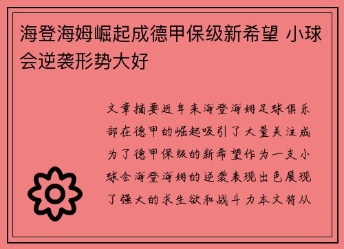 海登海姆崛起成德甲保级新希望 小球会逆袭形势大好
